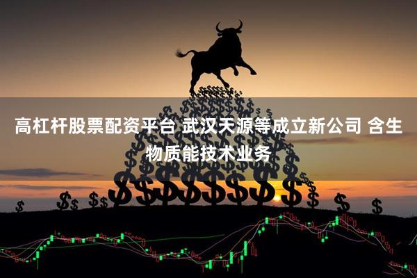 高杠杆股票配资平台 武汉天源等成立新公司 含生物质能技术业务