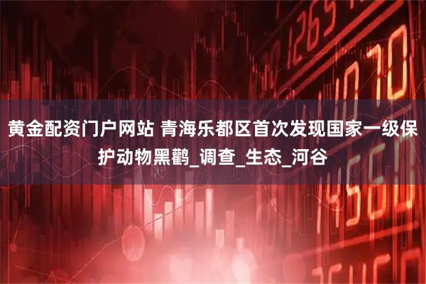 黄金配资门户网站 青海乐都区首次发现国家一级保护动物黑鹳_调查_生态_河谷