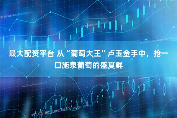 最大配资平台 从“葡萄大王”卢玉金手中，抢一口施泉葡萄的盛夏鲜